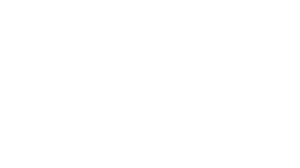 Flip Mídia